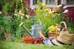 Wahiawa-Hawaii-beekeepers