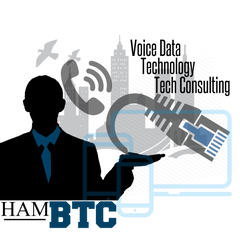 btc business technology consulting