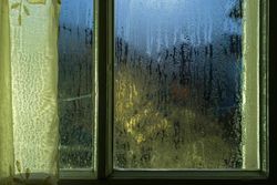 glass and window repair