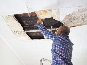 mold removal