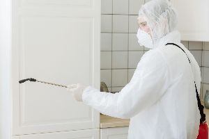 mold removal