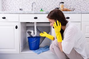 mold removal