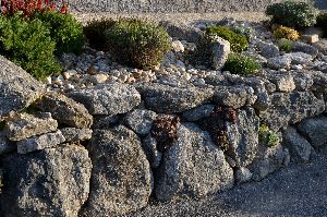 retaining wall