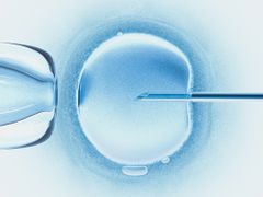 infertility-women's-health-center-groton