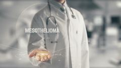 asbestos and mesothelioma