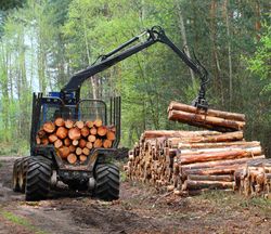 logging contractor