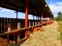 Livestock-Supplies-Bethel-OH