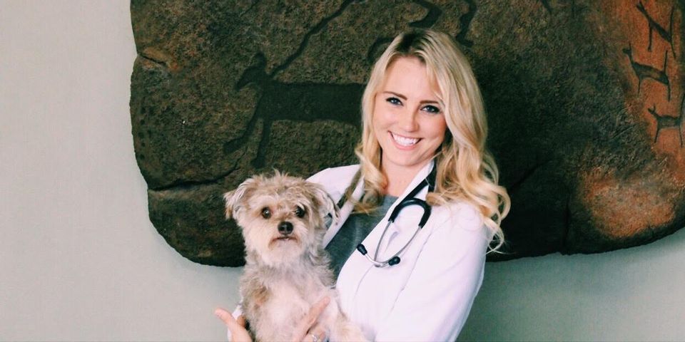 The Honolulu Pet Clinic Welcomes a New Veterinarian to Their Team! - The Honolulu  Pet Clinic