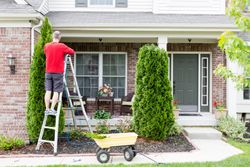 tree care