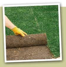 sod and seed