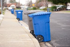 trash can cleaning