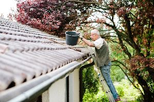 termite control