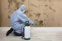 mold-remediation-servpro-of-greater-st-augustine-st-augustine-beach
