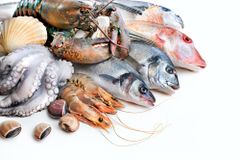 fresh-seafood-Bon-Secour-AL