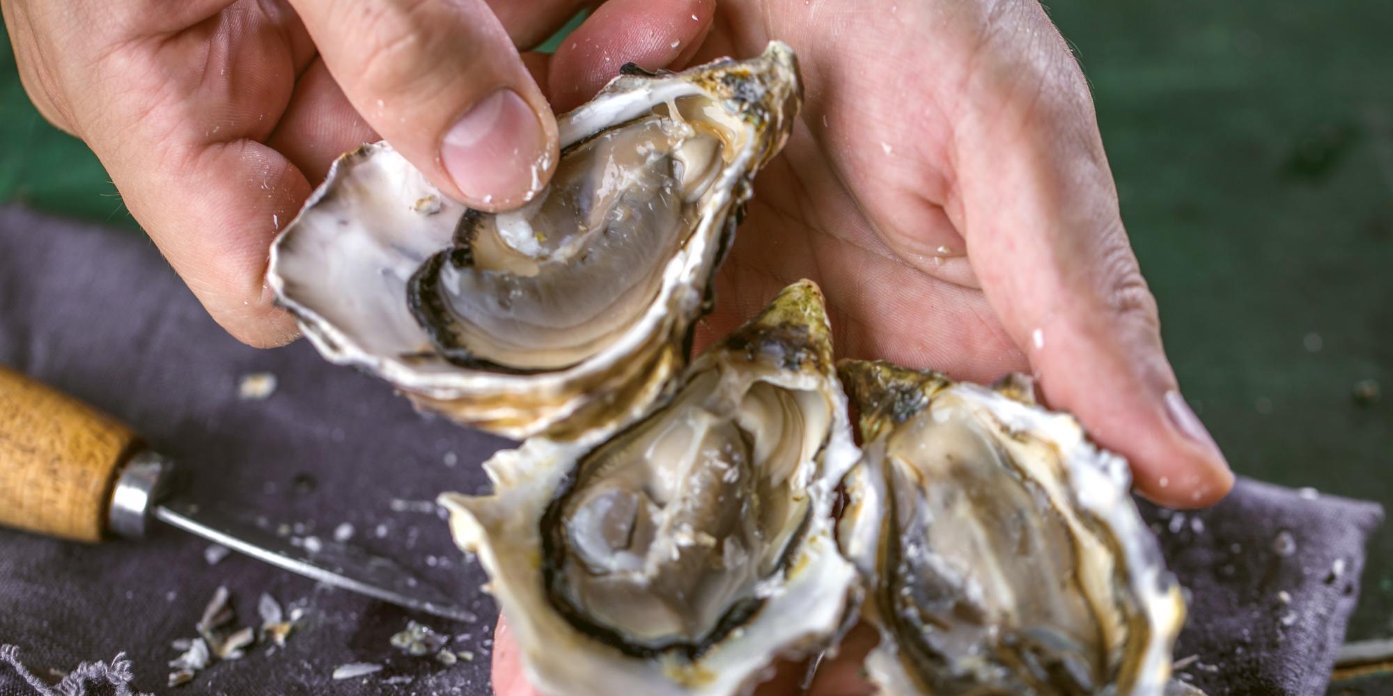 How to Shuck an Oyster Without an Oyster Knife « Food Hacks :: WonderHowTo