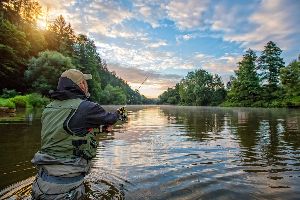 fishing and hunting licenses