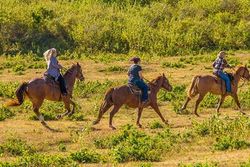 horseback riding