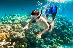 Snorkeling Tour