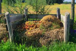 compost