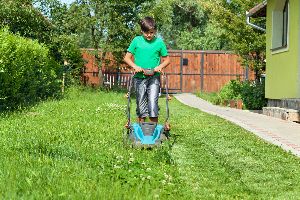 Lawn irrigation 