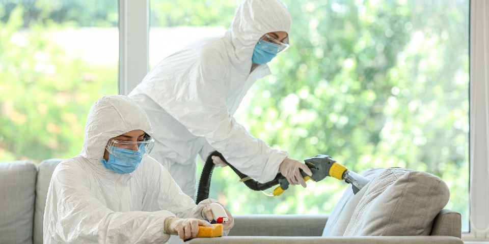 a-guide-to-biohazard-cleanup-and-insurance-rapid-restoration-texas-inc