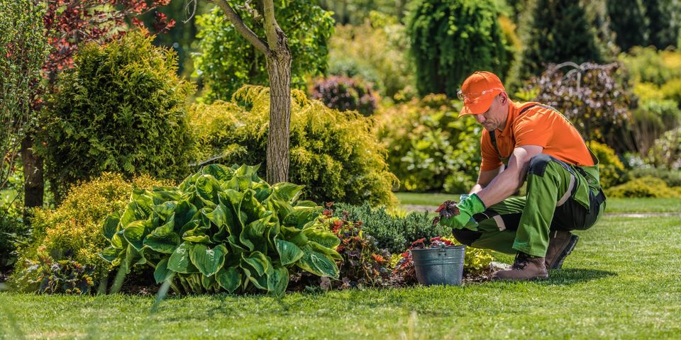 5 Reasons to Hire Professional Lawn Care Services - Lawn Doctor of Omaha