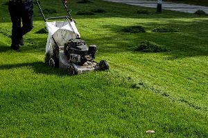 lawn mowing