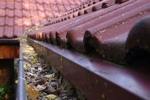 gutter cleaning